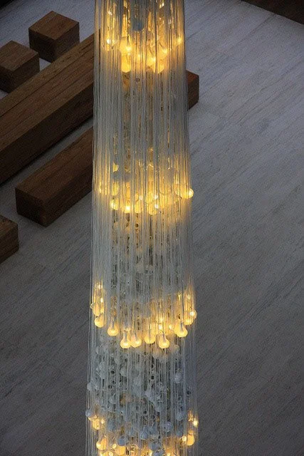 China Tree Ellis.jpeg