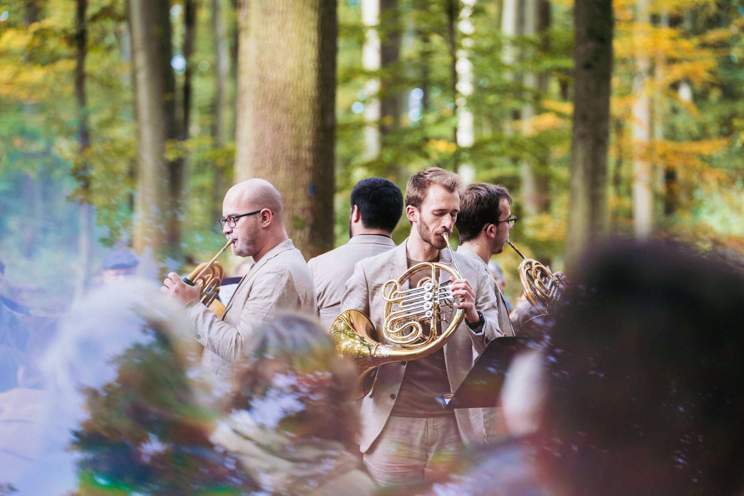 WALD - De Spil Roeselare