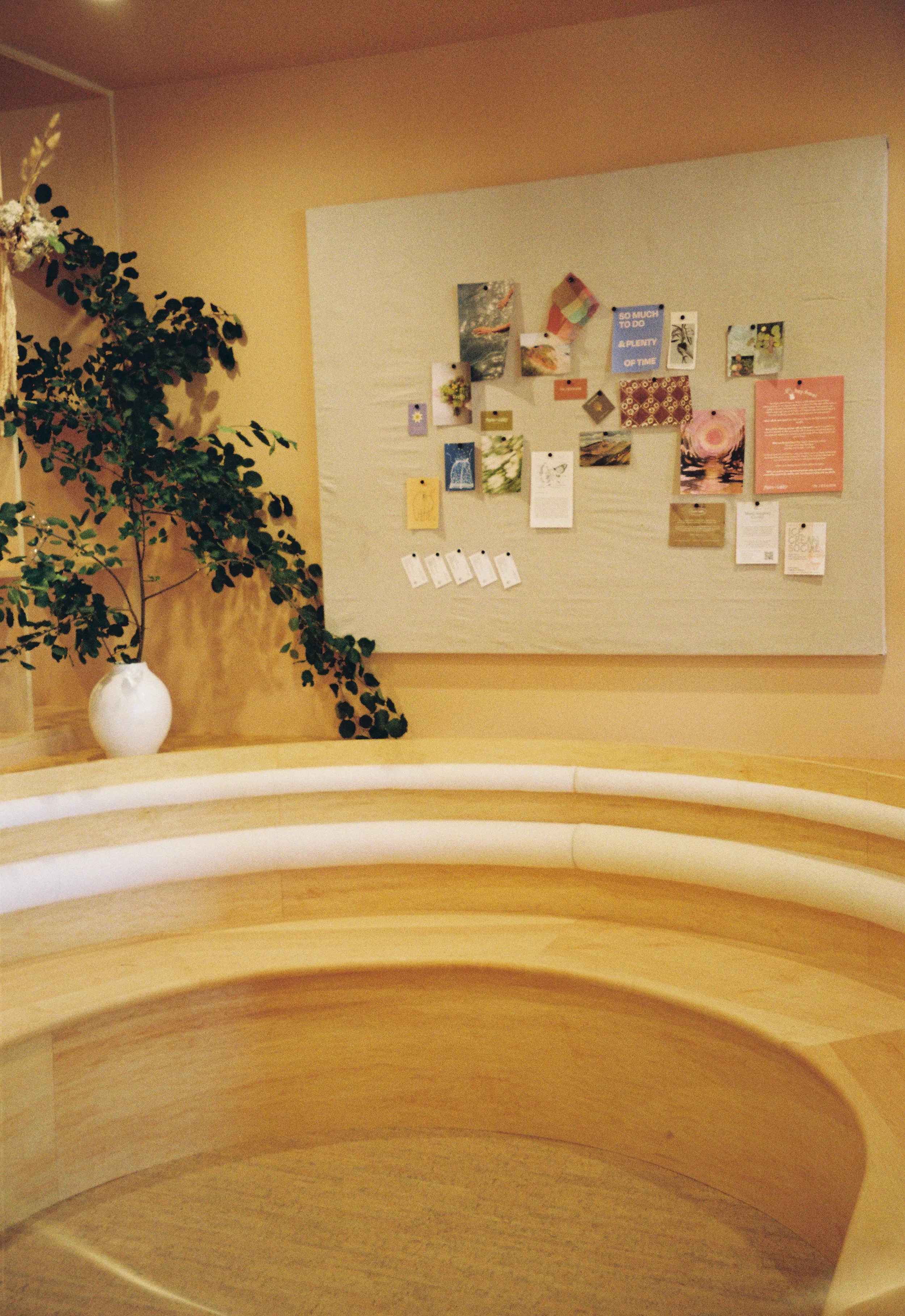 AE_0176_Gold 200_372547-R1-023-10.jpg