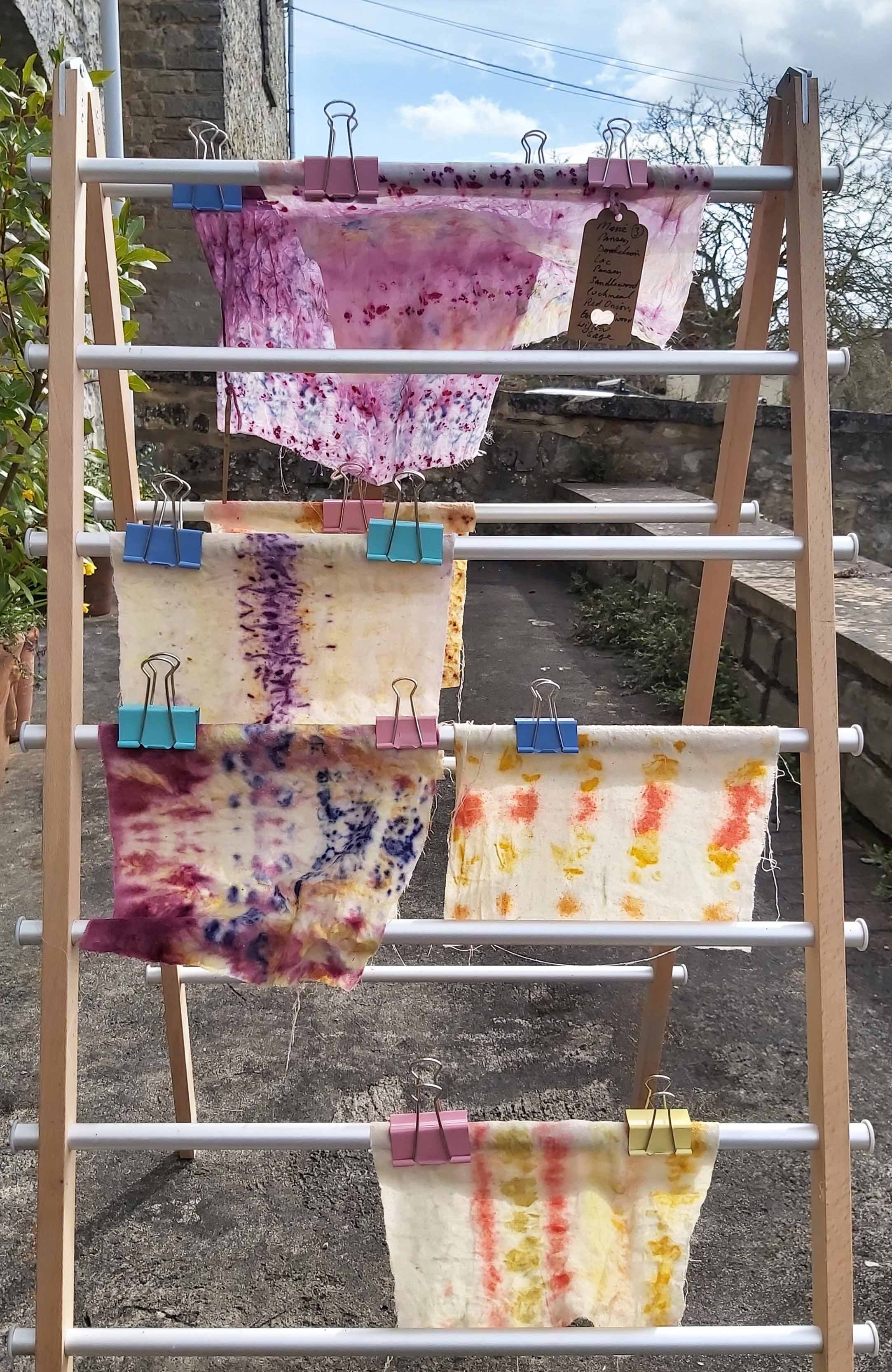 Eco Printing Hand Dyeing Workshop by Pam Martin