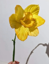 Cold Porcelain Daffodil Workshop with Stacey from Beaut Blooms