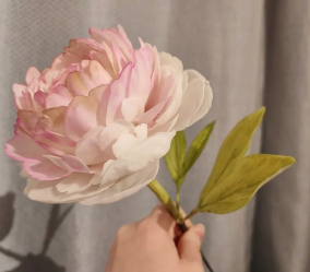 Cold Porcelain Peony Workshop with Stacey from Beaut Blooms