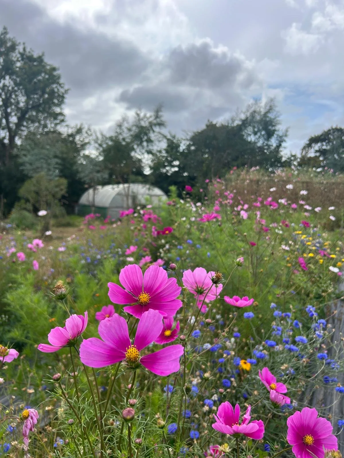 PHOTO-2026-02-17-09-32-23 (1).jpg