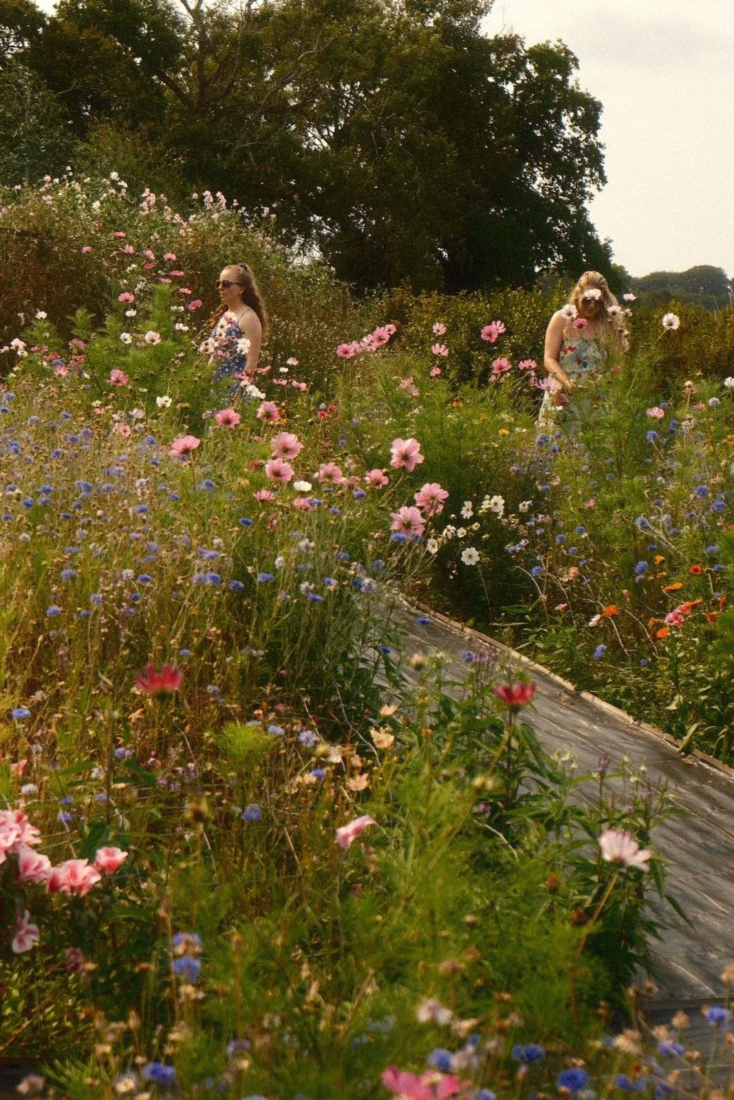 PHOTO-2026-02-17-09-32-24 (2).jpg