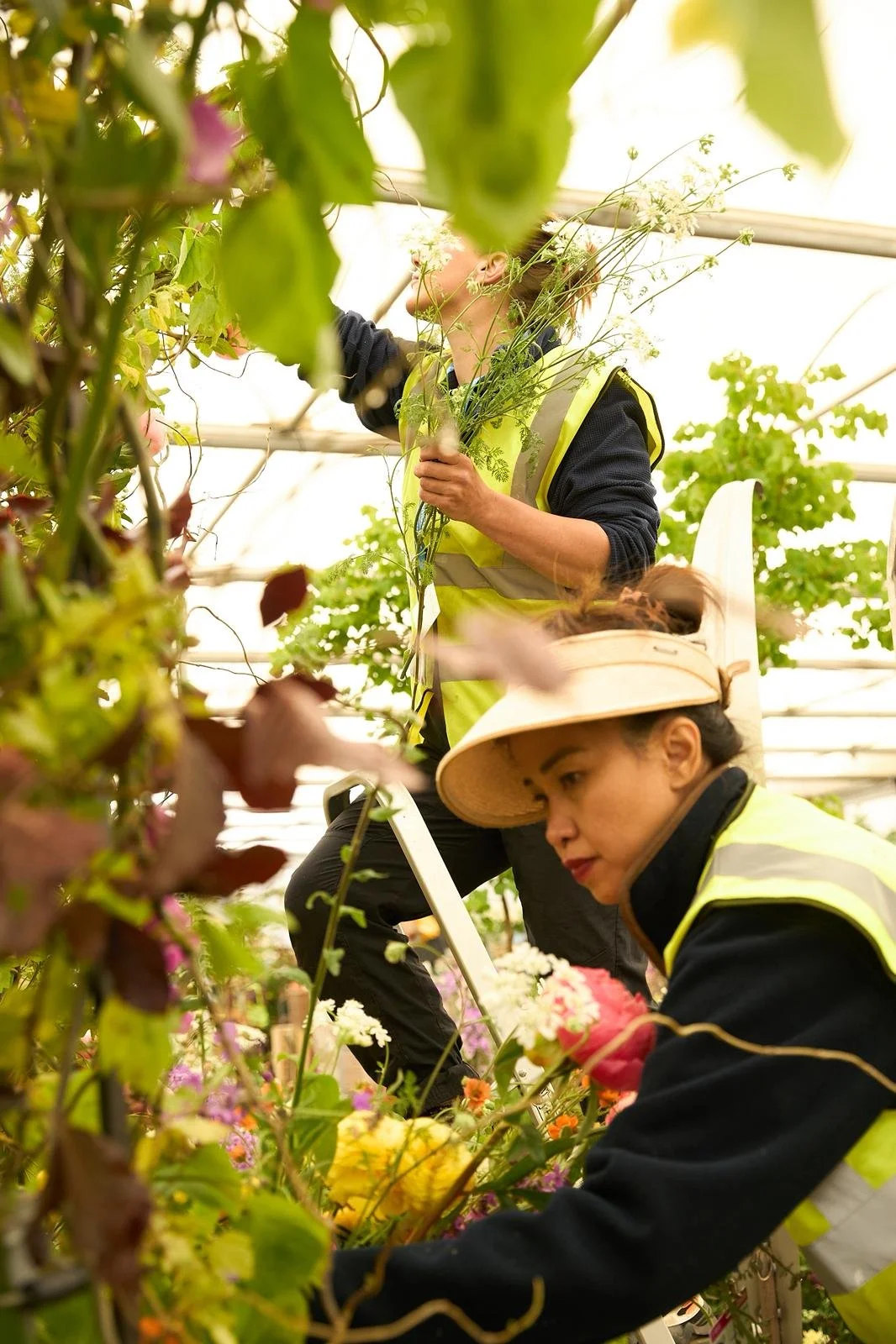 RHS Chelsea Flower Show 2026 - Silver Gilt Award