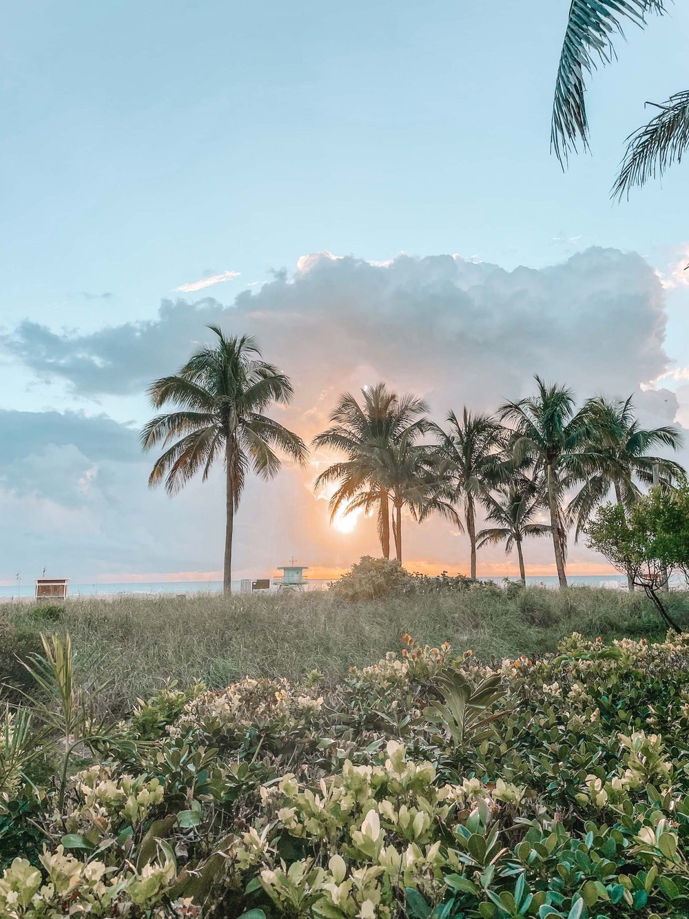 Miami Beach