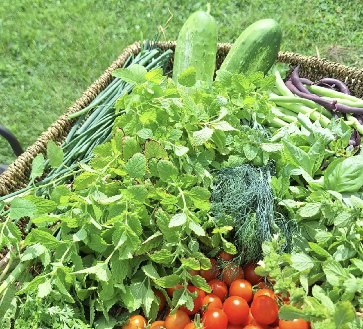 Pierce St Garden.png