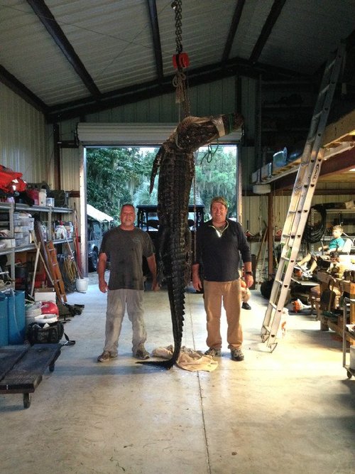 Photo Gallery — Gator Glide