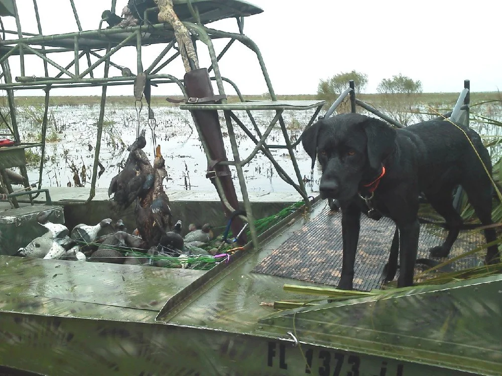 Photo Gallery — Gator Glide