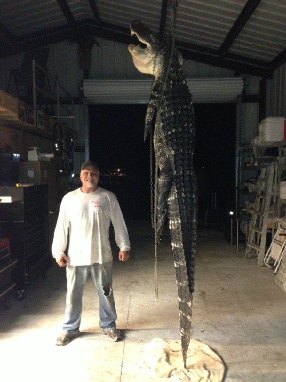 Photo Gallery — Gator Glide