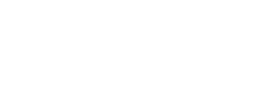 Black Policy Lab 