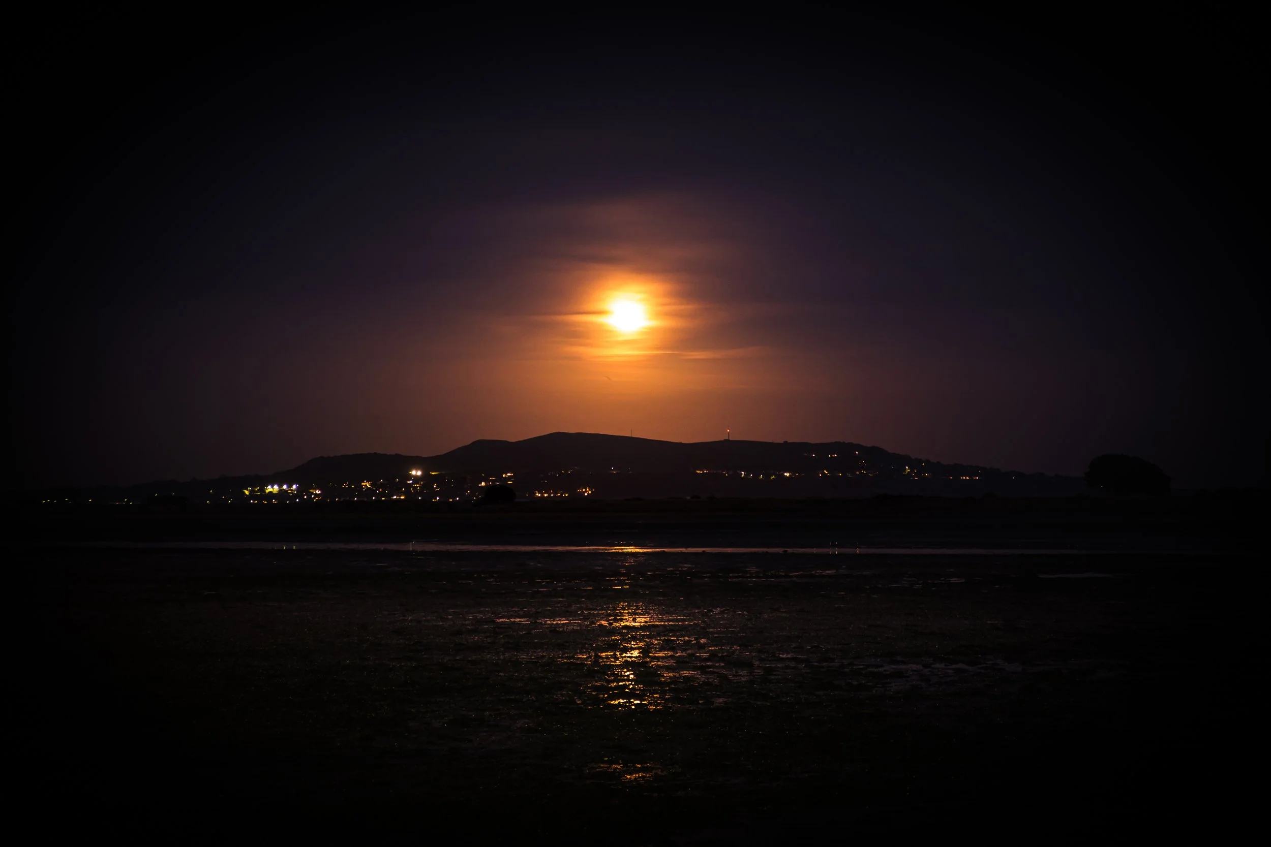 DSCF1586-2.jpg