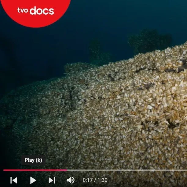 Your Wednesday Watchlist is here! 🎥 Two documentaries, one huge body of water: All Too Clear and The Fish Thief take you deep into the pressing #environmental challenges faced by the #GreatLakes. Grab a snack and get comfy:

https://www.ecosystemsci