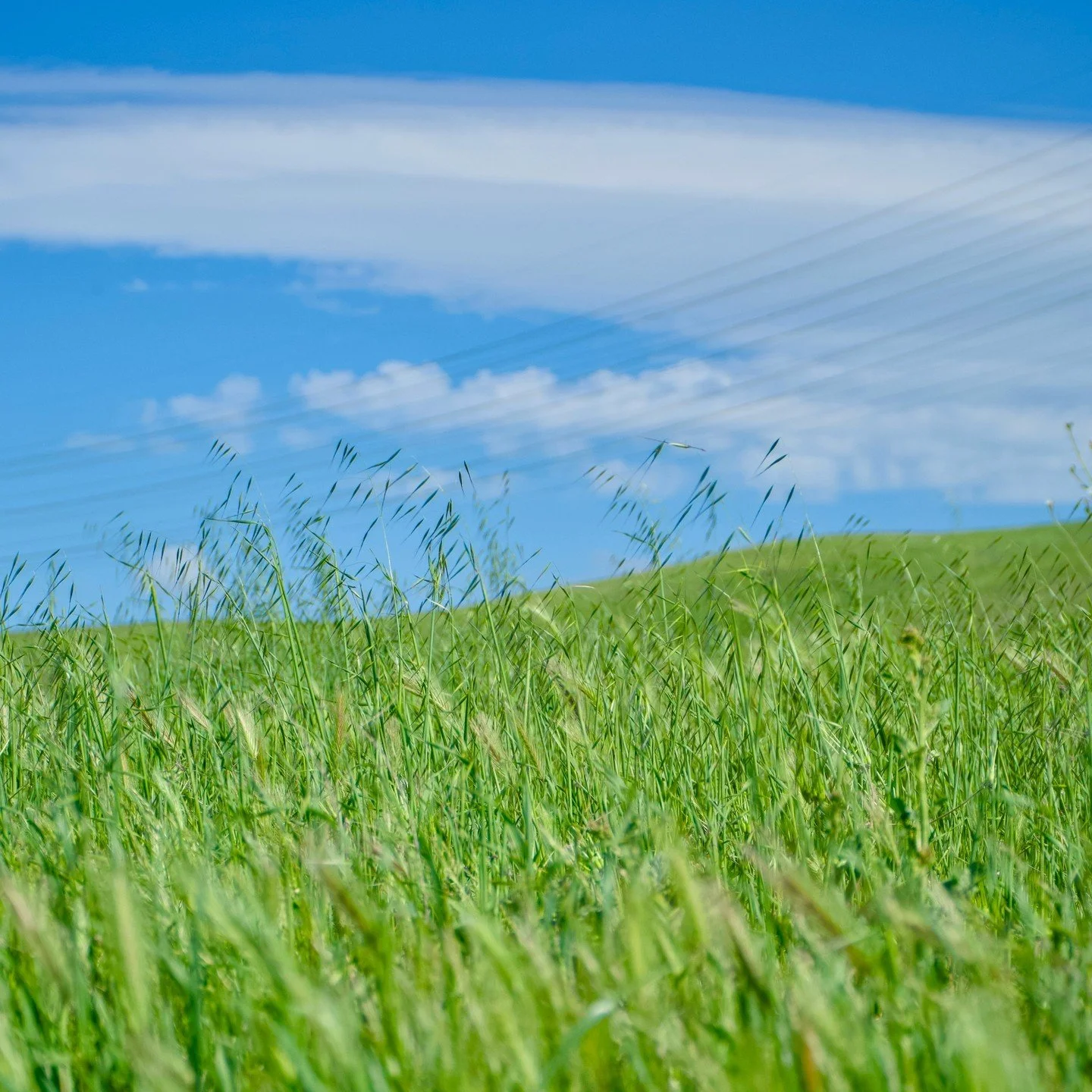 ☀️ The CEM is chasing those sunny vibes and blue skies .... won't you join us? ☀️

https://bsky.app/profile/centreecomgmt.bsky.social

#GreatLakes #SciComm #Bluesky #Ecosystem #Biodiversity #ClimateChange #FoodWeb #Science #UofG #Biology #AcademicLif