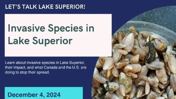 🐚 If you or your stakeholders have an interest in 
#invasives, #LakeSuperior, or the 
#GreatLakes in general, then mark your calendars for Dec 4 @ 11am ET because the Lake Superior Partnership is hosting a webinar that's right up your alley! Registe