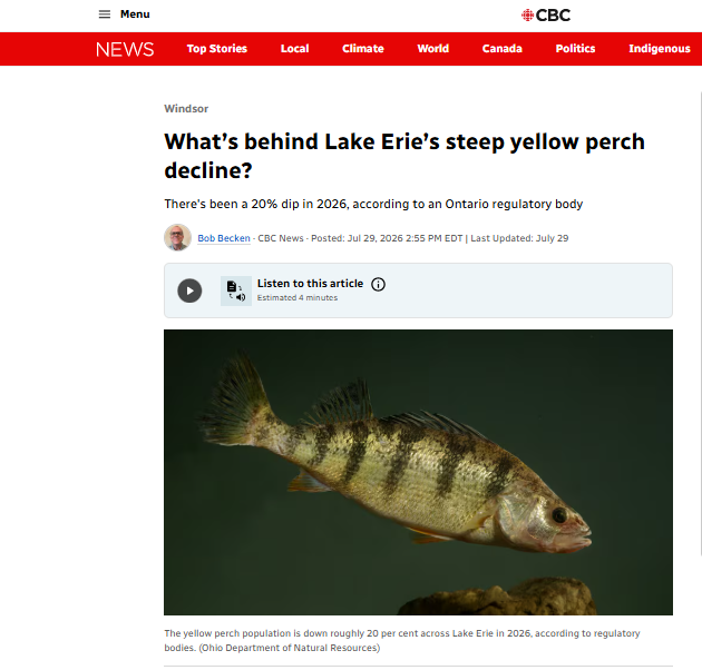 A Fishery in Flux: Uncovering the Ecological Changes Behind Lake Erie’s Yellow Perch Decline