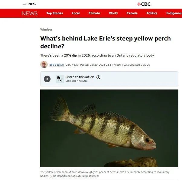 🐟 Why are Lake Erie&rsquo;s yellow perch changing?

A recent @cbcnews story highlighted concerns about declining yellow perch productivity in one of the Great Lakes&rsquo; most important fisheries.

Scientists are still working to understand the ful