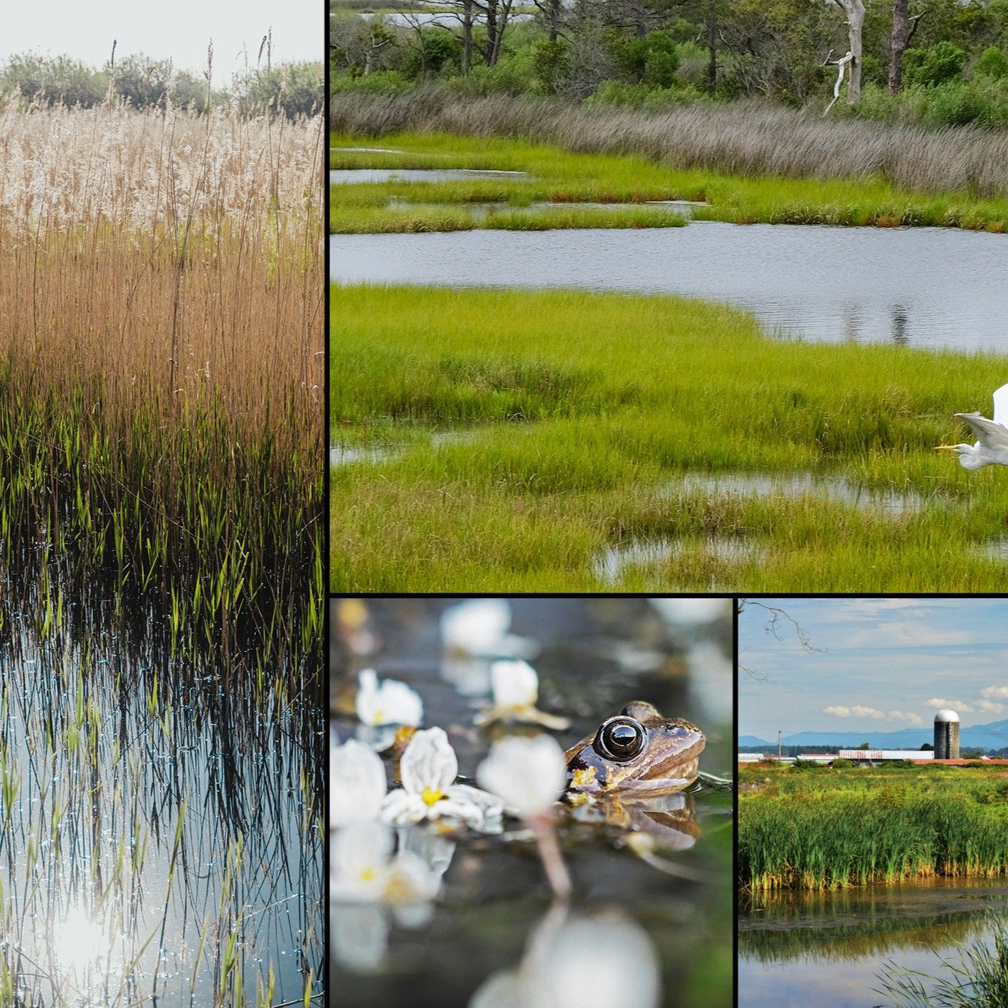 🌎 📈 What do ecosystems and investment portfolios have in common?

More than you might think. 

A new synthesis paper conducted in part by researchers at the Centre for Ecosystem Management (out now in @ecologicalsociety) explores the "portfoli