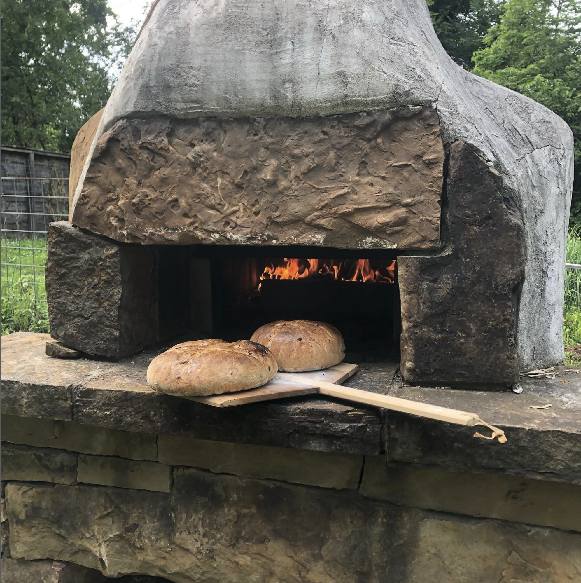 pizza oven.png