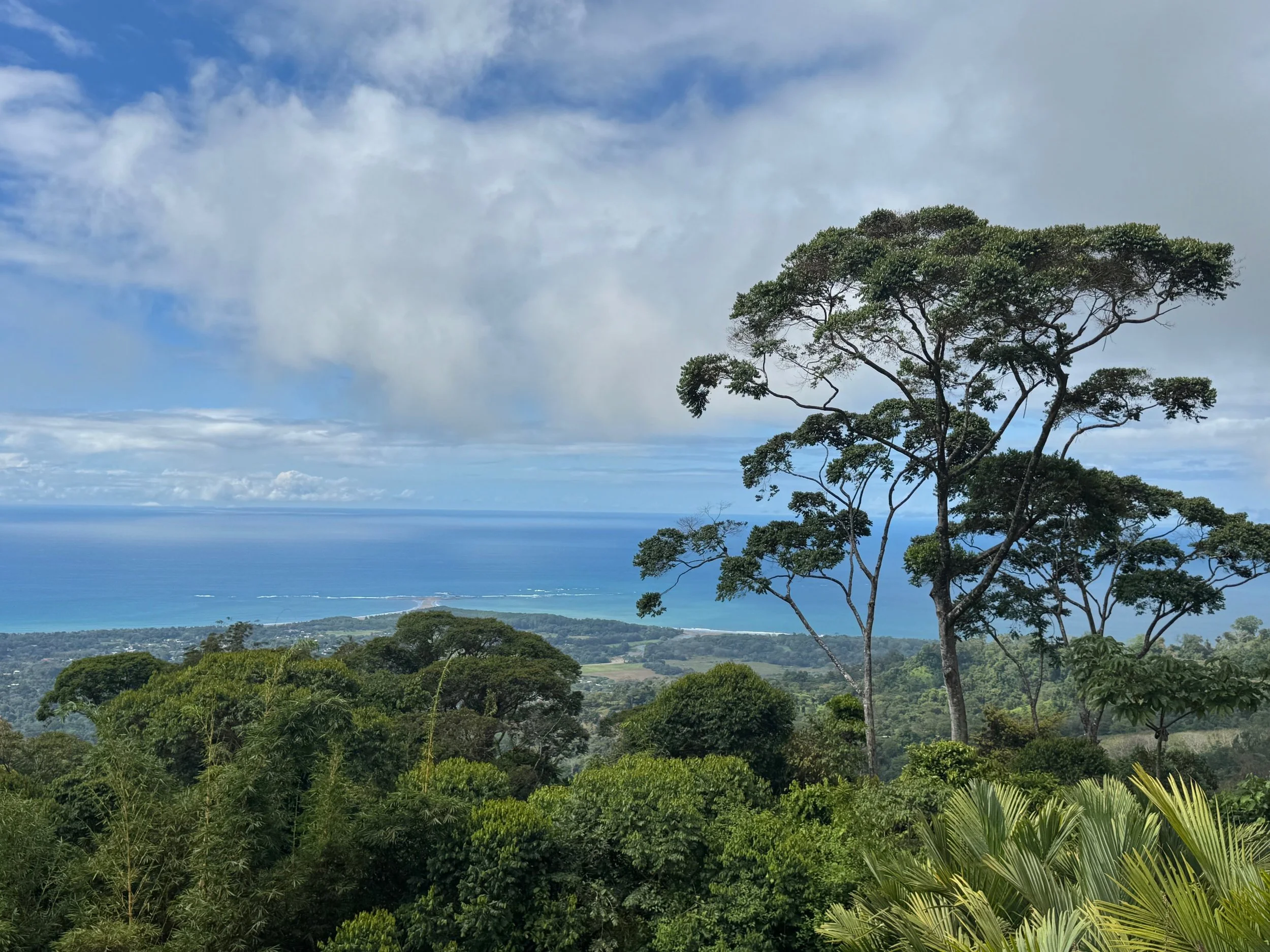 Costa Rica’s South Pacific Region Is Still A Tranquil, Relaxing Destination