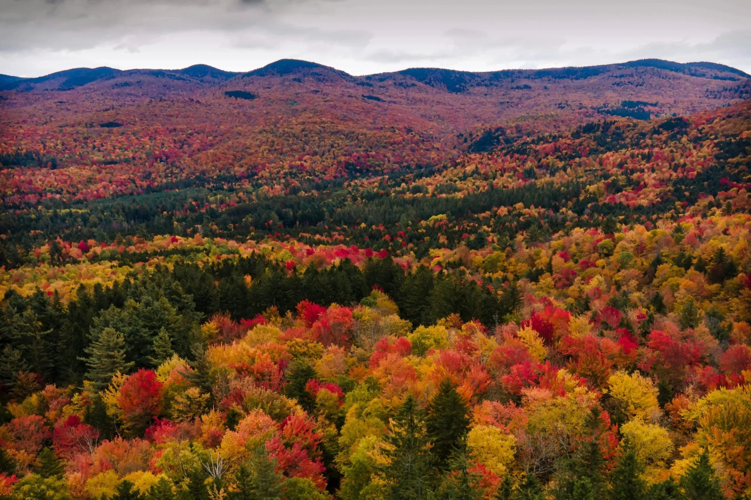 New Hampshire and Vermont In Autumn: Scenic Drives, Charming Towns, Easy Ways to Enjoy Foliage