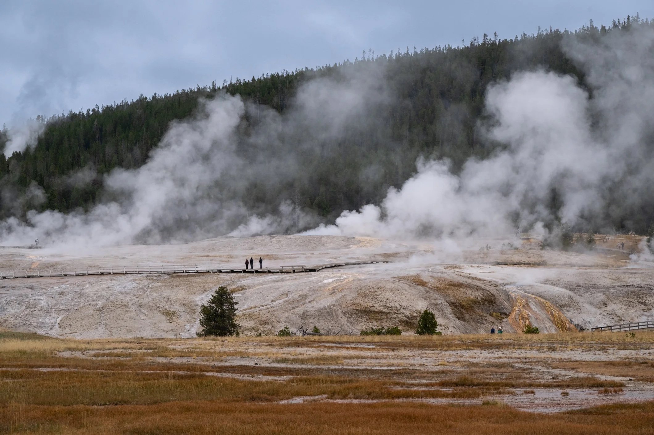 Old Faithful area in Yellowstone National Park