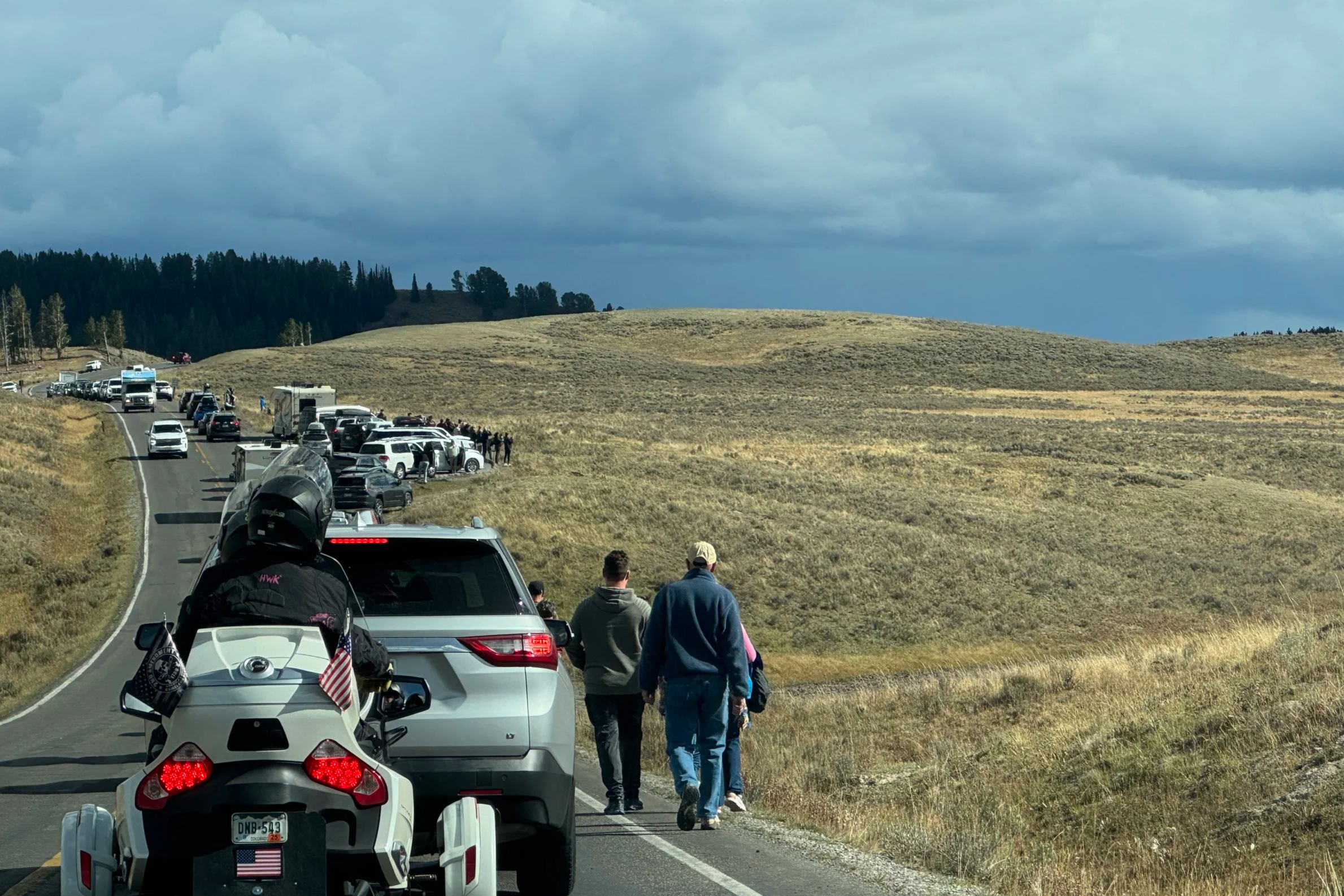 Lamar Valley, Yellowstone National Park, wildlife spotting cause periodic traffic jams