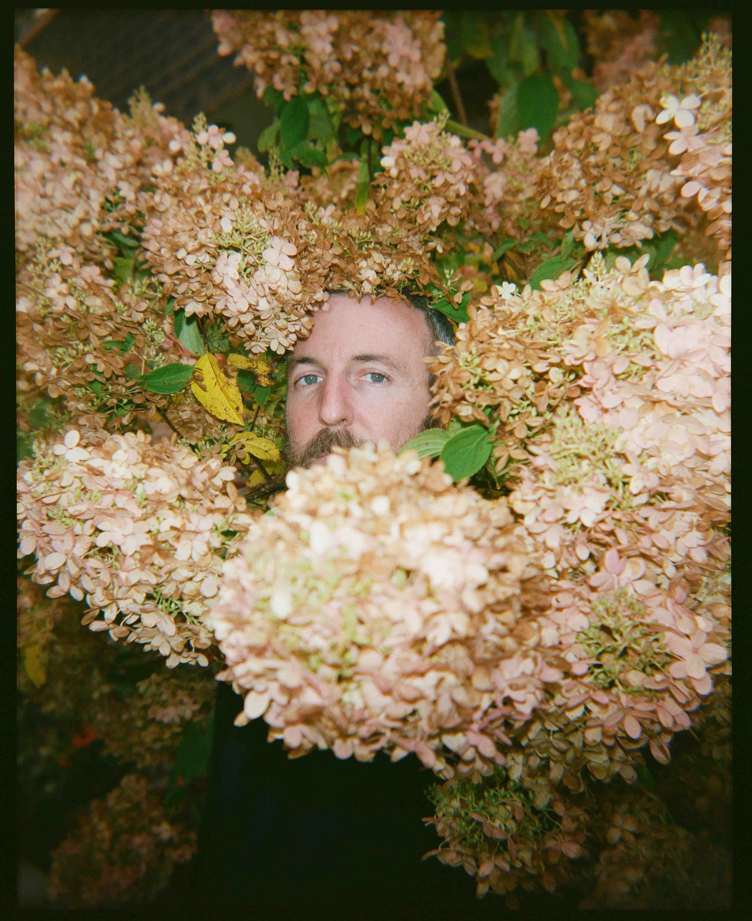 A man with light skin, blue eyes, and a beard surrounded by pinkish-brown flowers and green leaves.