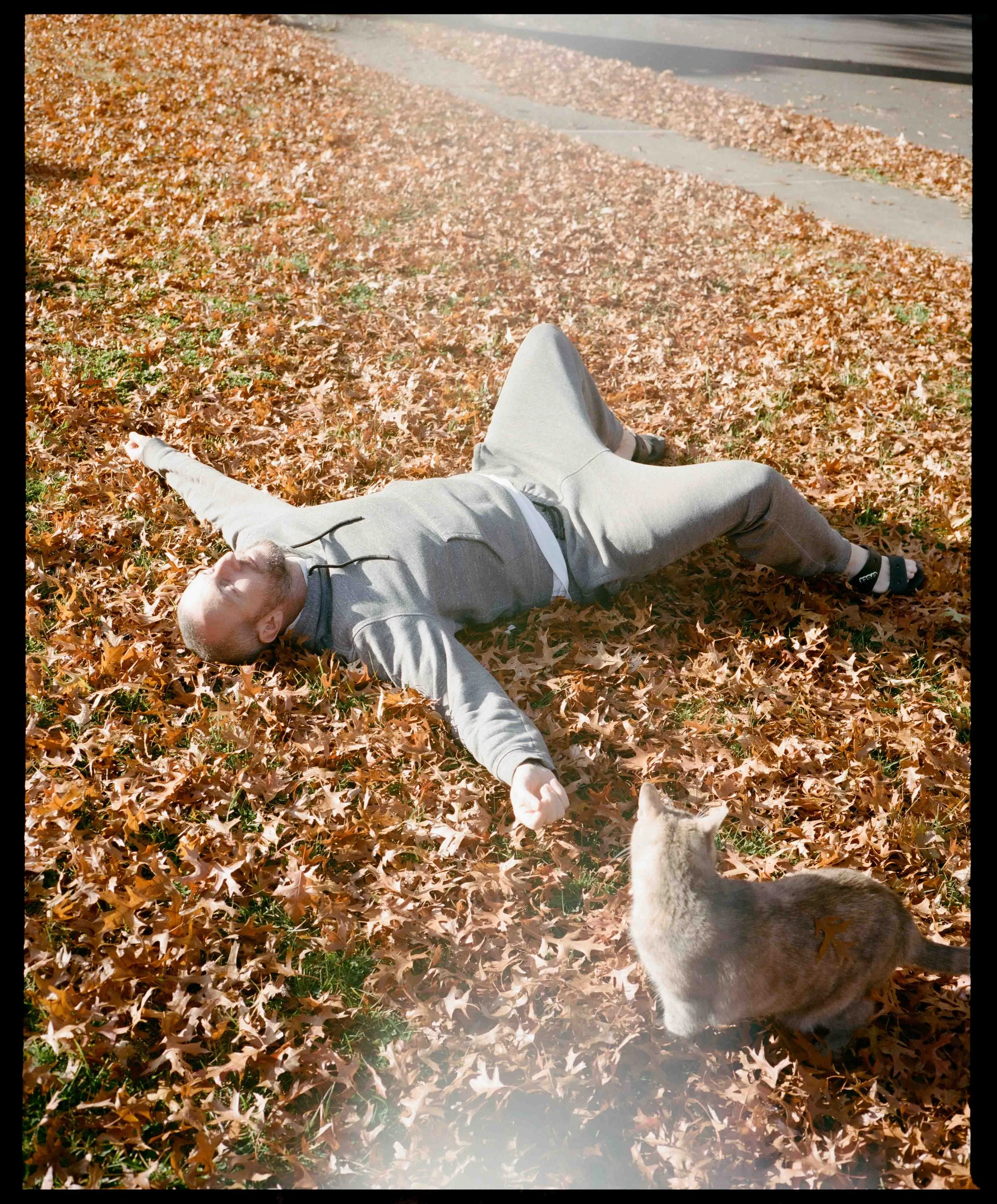 A person with a beard dressed in a gray hoodie and pants lies on a blanket of fallen autumn leaves, pointing towards a small dog. The scene takes place outdoors near a sidewalk with a street in the background.