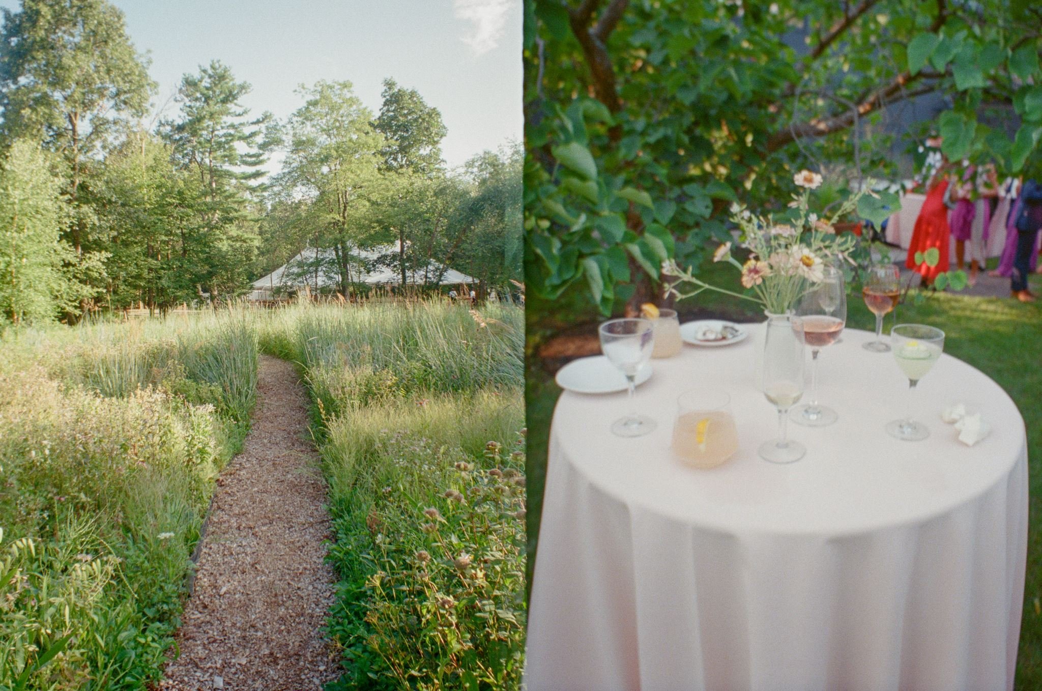 Split image showing a garden pathway on the left and a table with drinks under a leafy tree on the right.