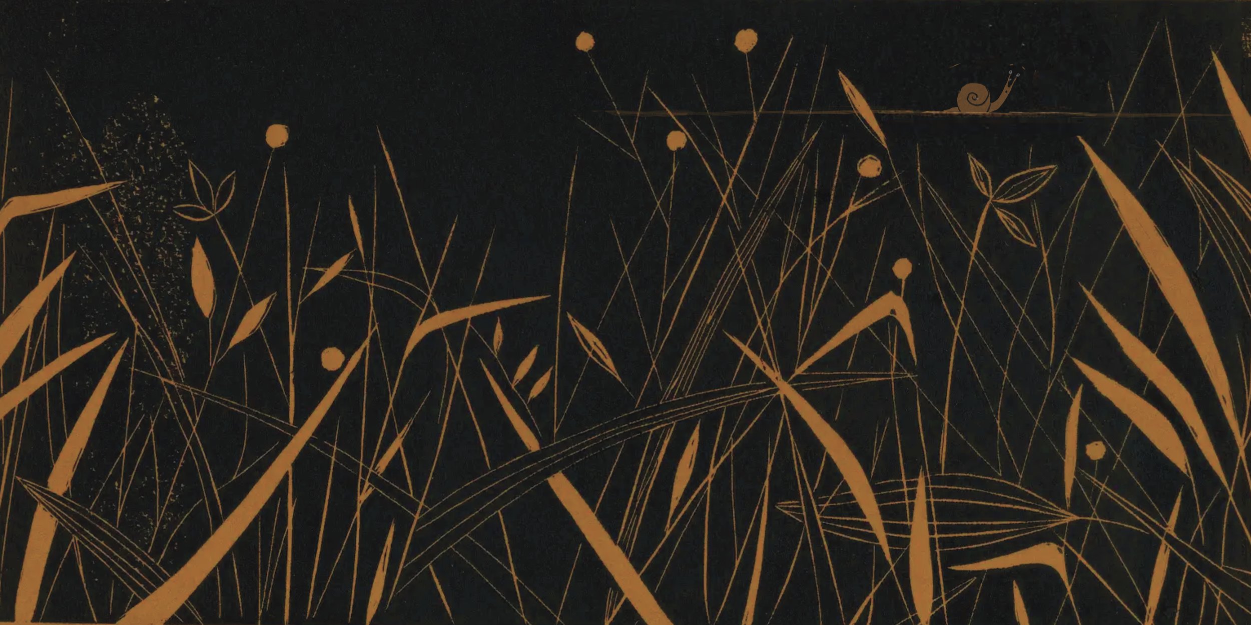 Untitled_Artwork (7).jpg