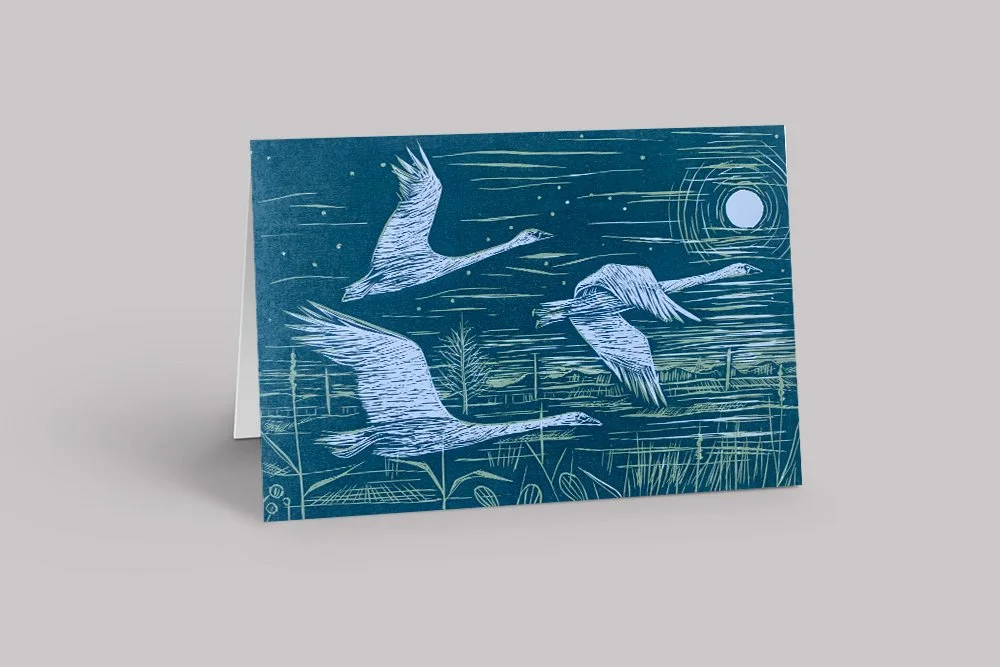 Swan Flight (Digitally Printed Greetings Card)