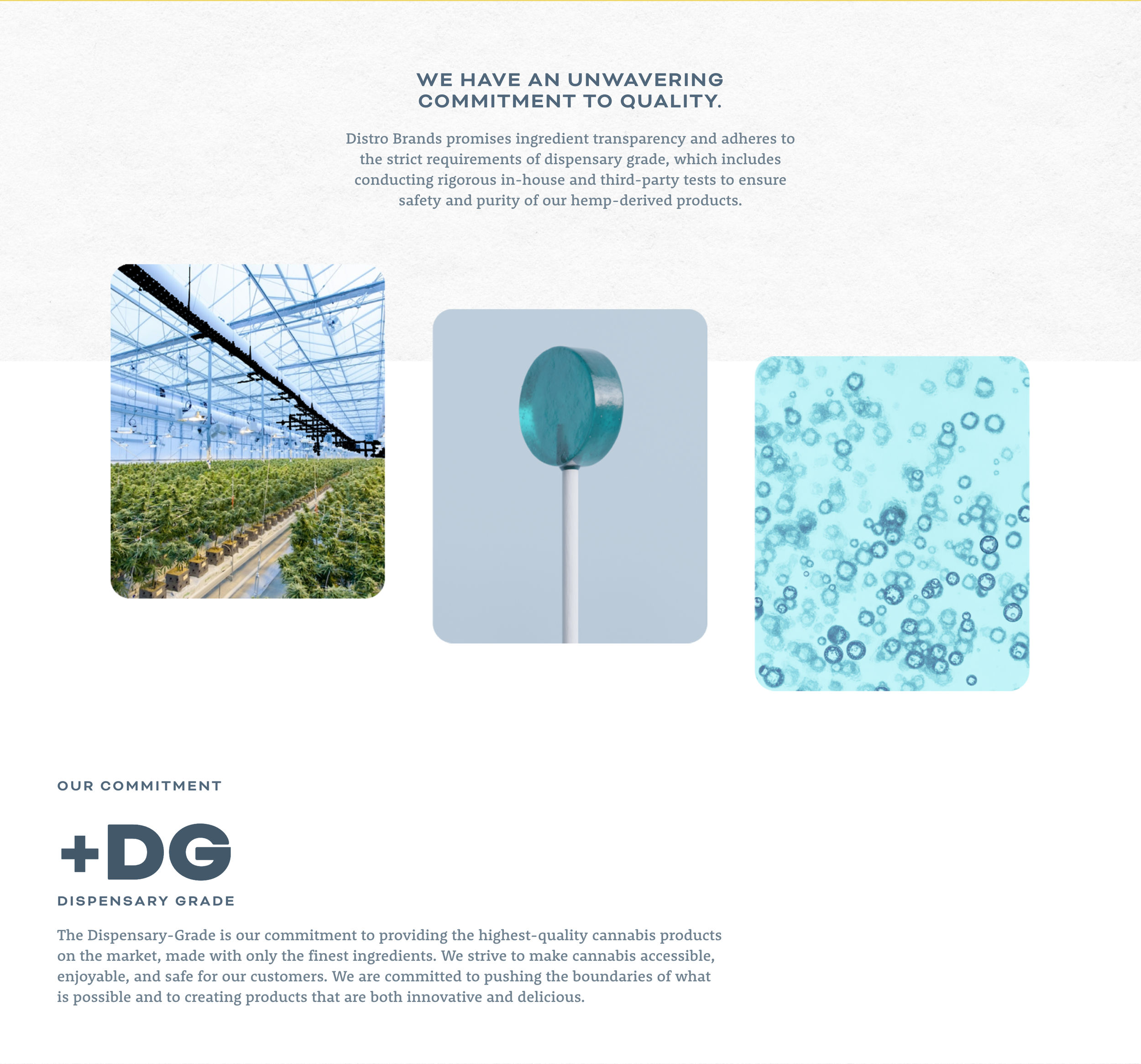 Distro-Website-Images_0002_Quality.png