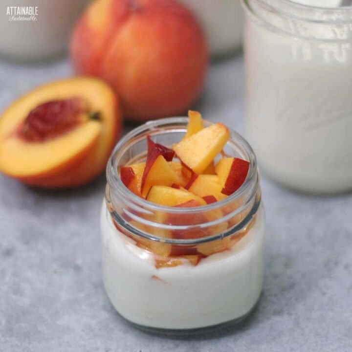 Peach Yogurt.jpeg