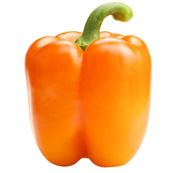 Orange bell.png