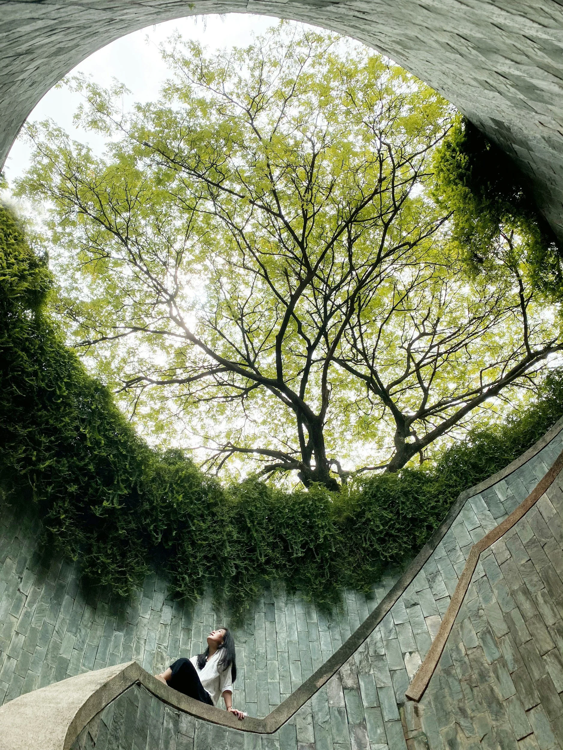 A woman sitting on a curved stone staircase looking up at a tree with green leaves, seen from below under an open circular skylight.