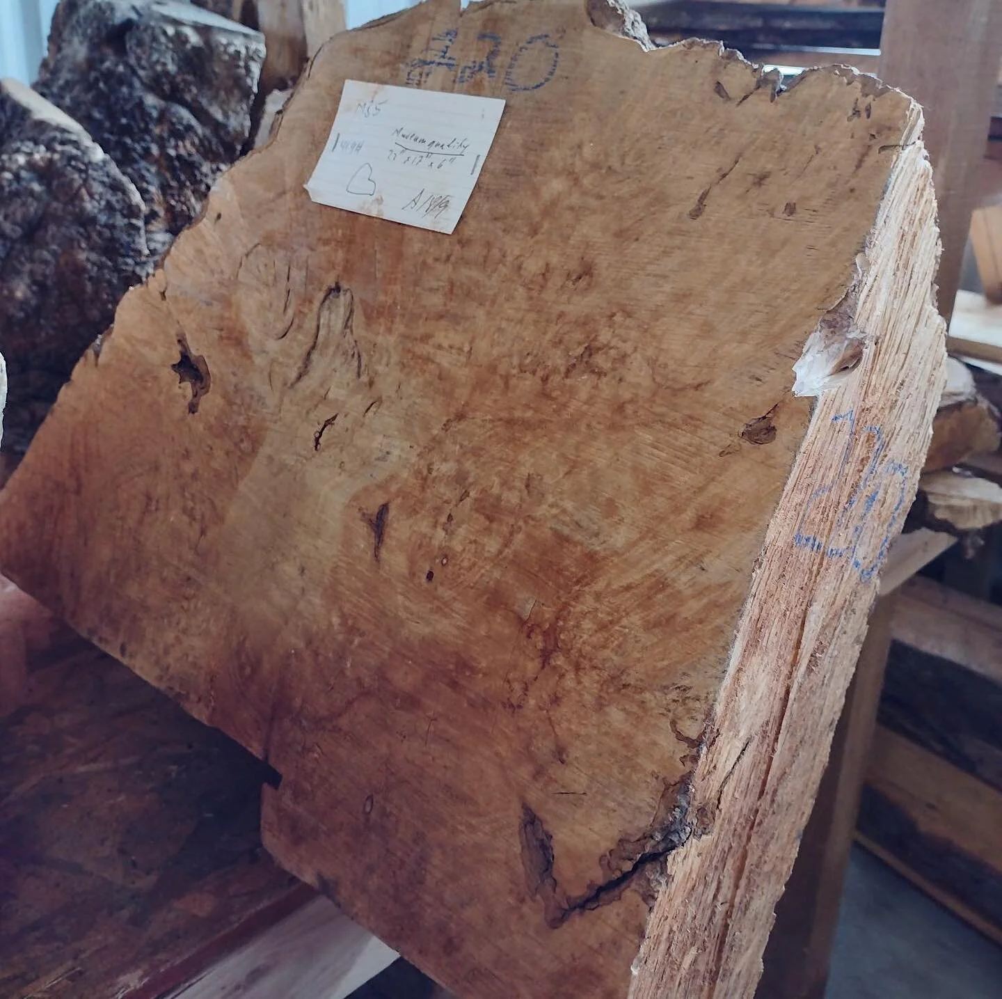 Maple burl with incredible figure🤯- from spalted to birds eye, fiddleback, and more. Each piece is unique with its own personality.

Interested in using maple burl for a project? Shoot us an email huyerwoods@gmail.com