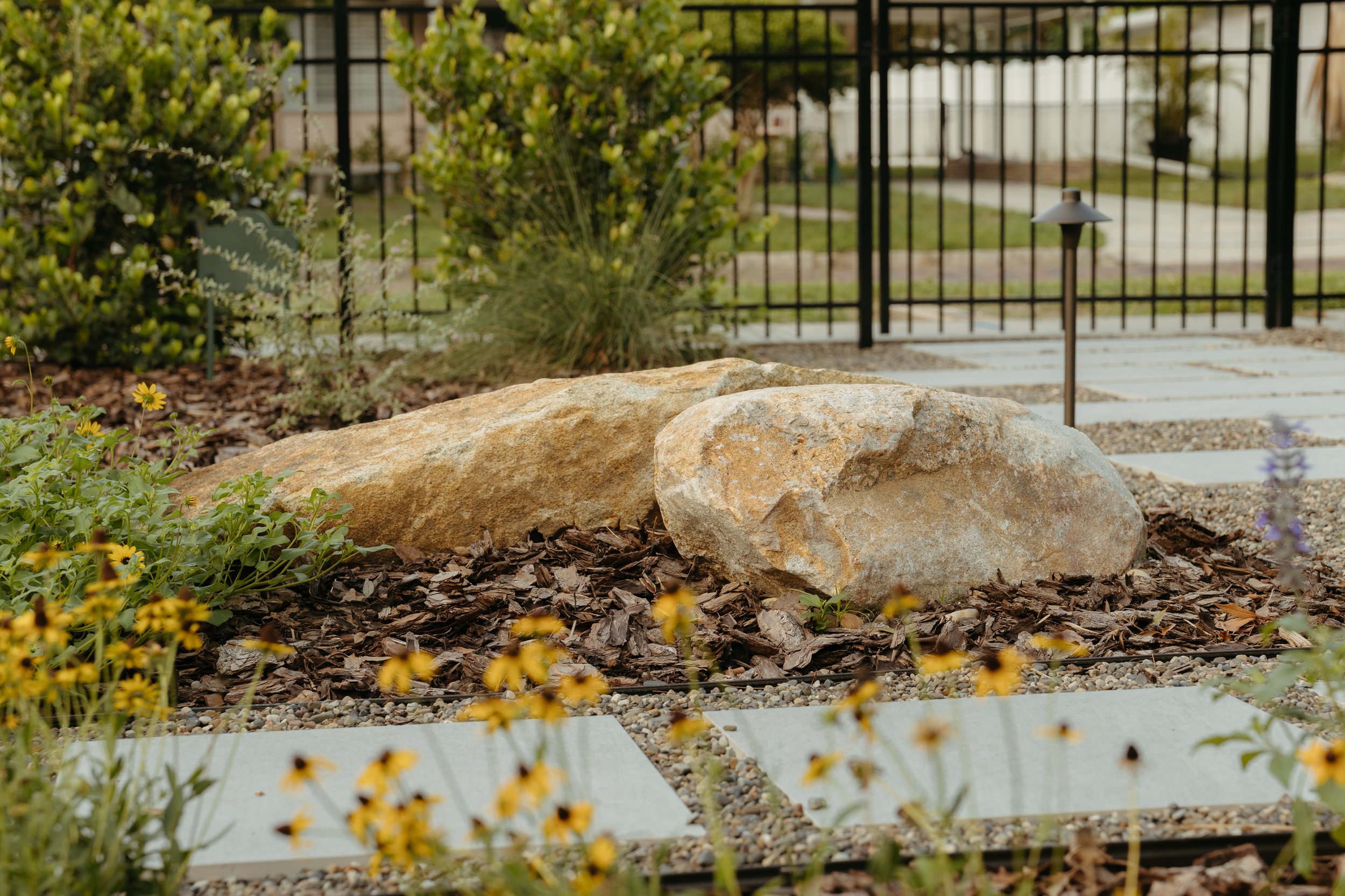Front yard garden design and installation with boulders, Florida native plants with pops of yellow, and shades of green and purple