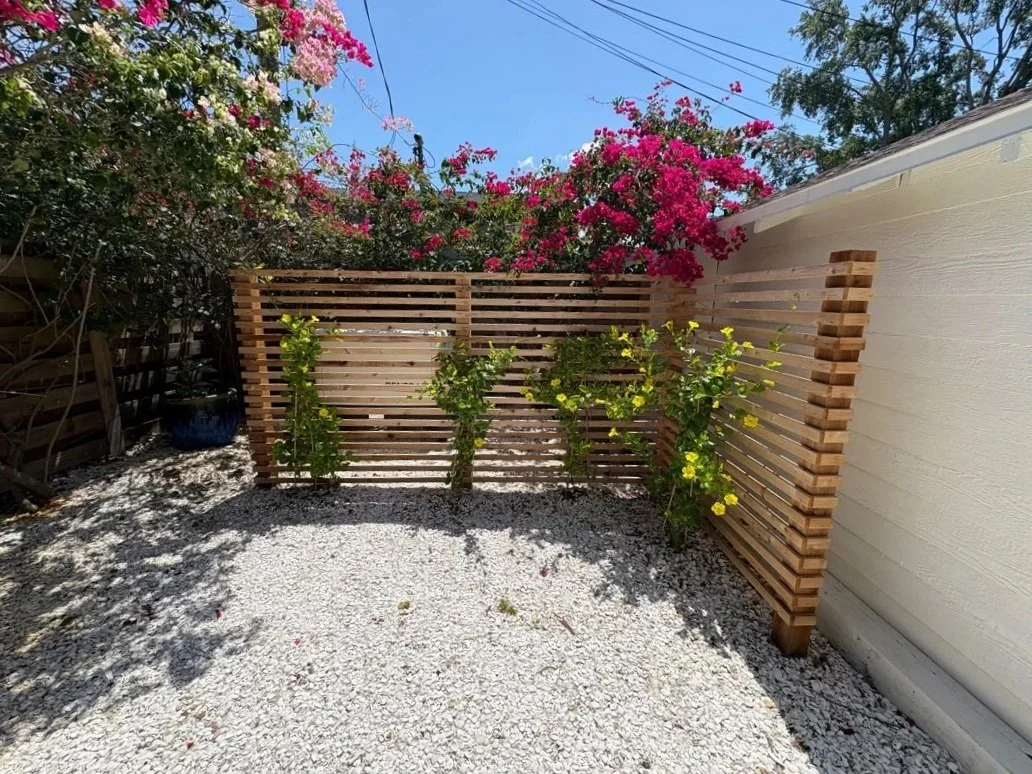 Backyard landscape with plants on a custom built trellis with a mix of Florida native and friendly plants, in Historic Kenwood, Saint Petersburg, FL, Pinellas County