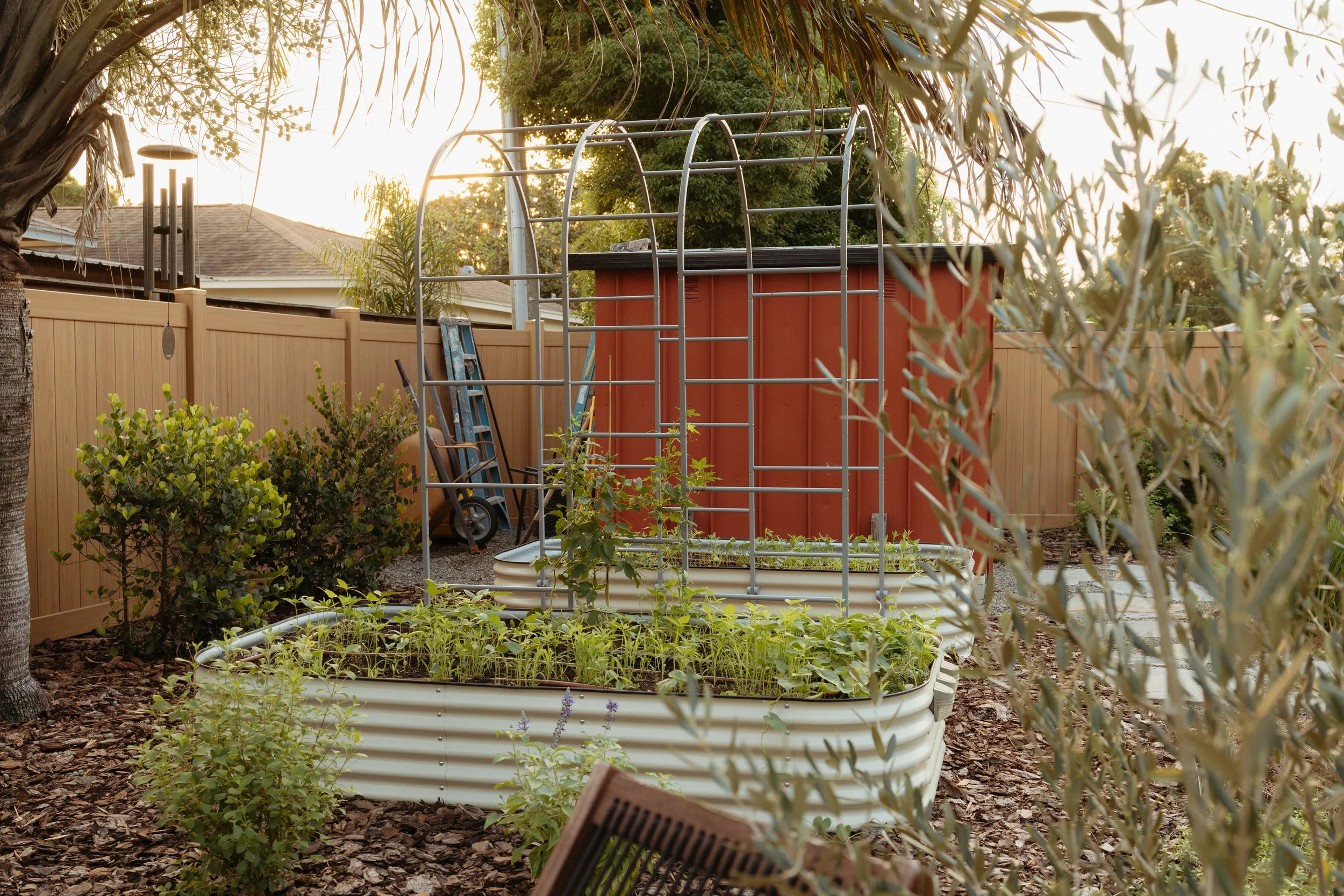 Backyard garden design and installation with raised garden beds, trellis, and Florida native plants