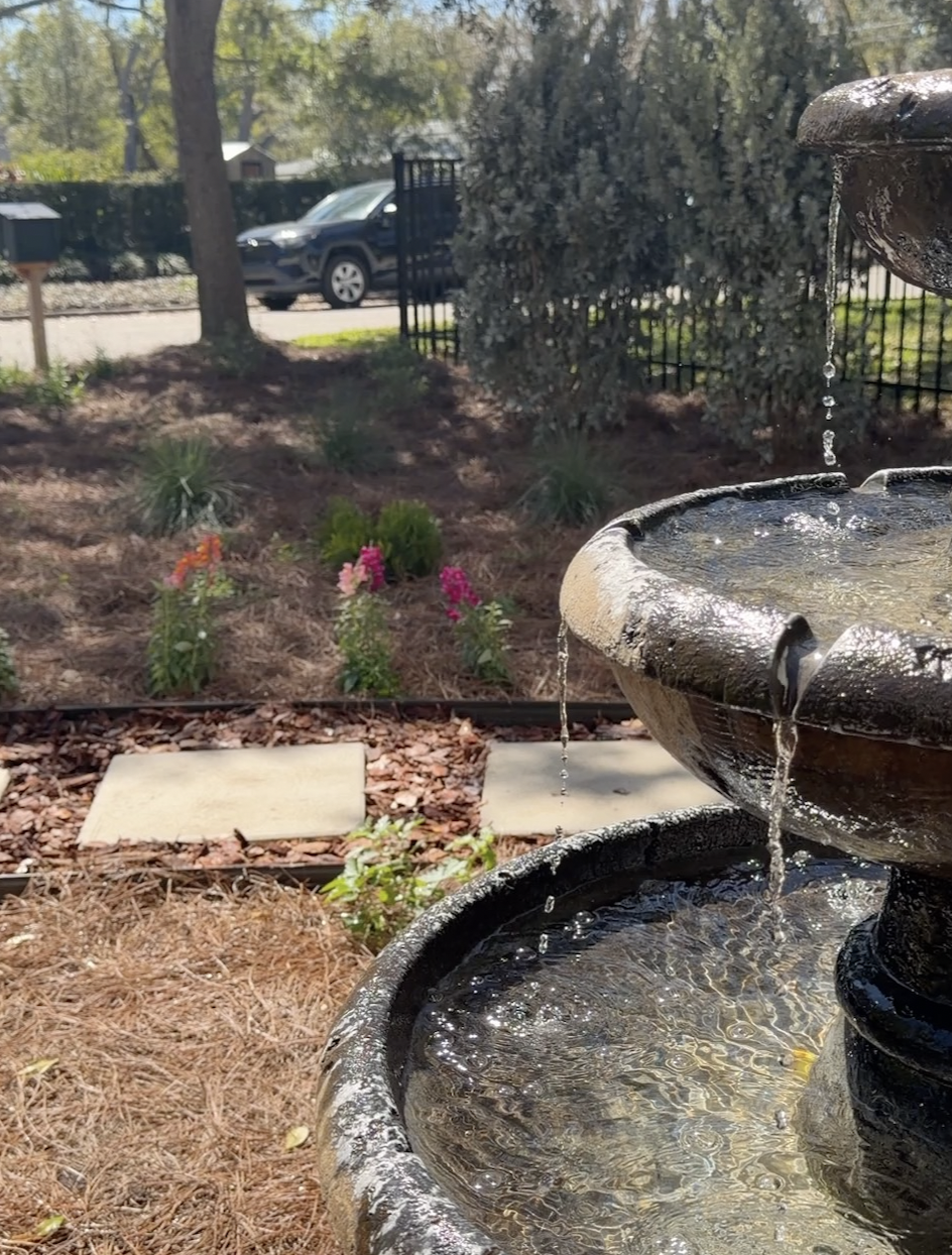 Front yard landscape transformation, curb appeal, seasonal flowers, florida native plants, pine straw, ground-cover, fountain
