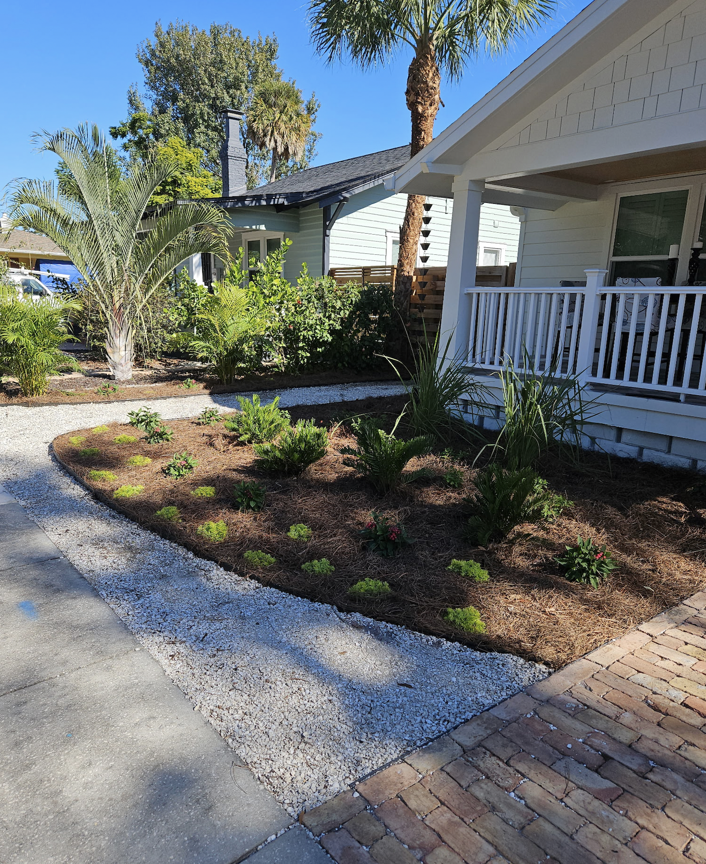 Front yard landscape transformation with shell and pine straw, and florida native plants