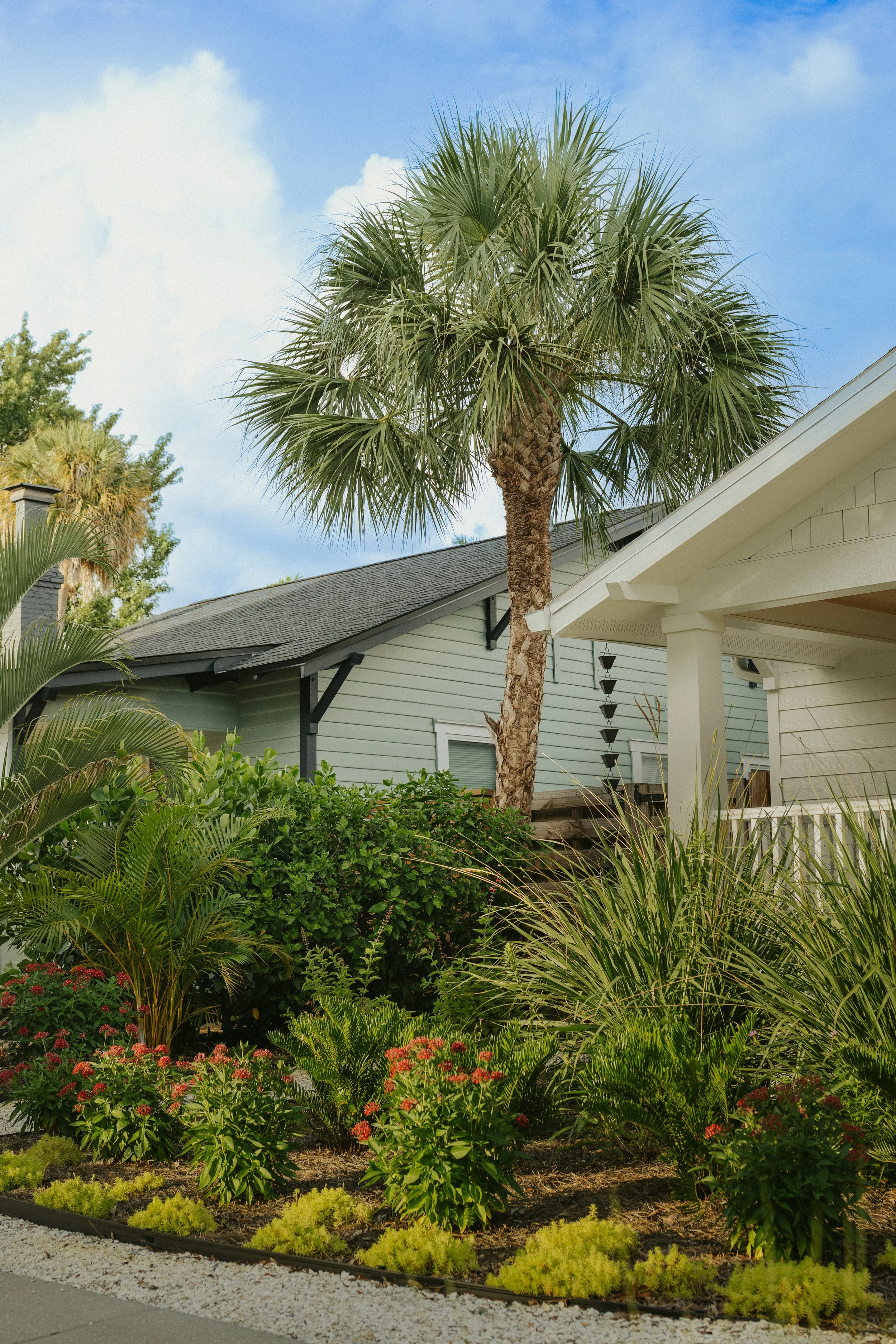 Front yard landscape with a mix of Florida native and friendly plants, in Historic Kenwood, Saint Petersburg, FL, Pinellas County