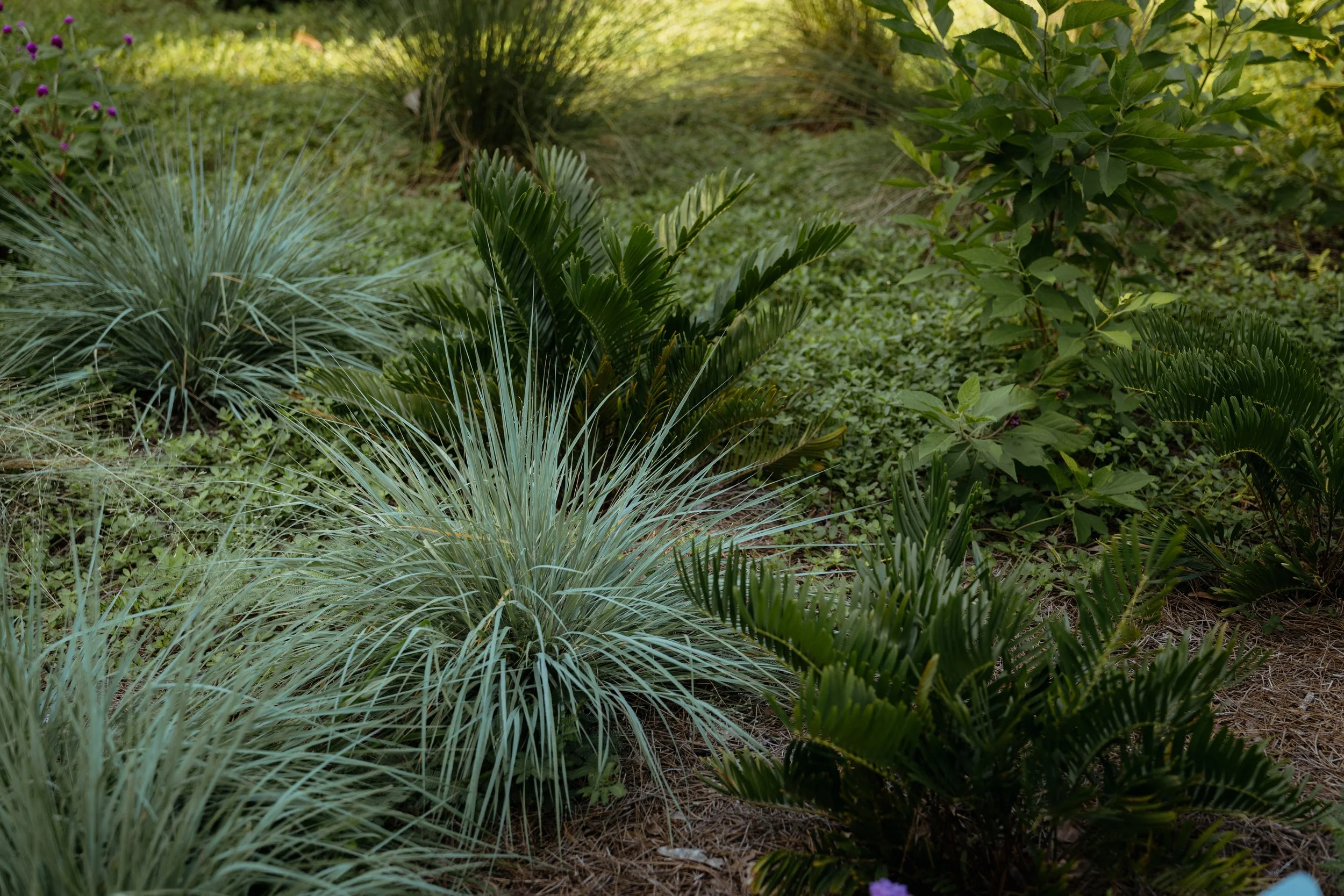 720A0106.jpg
