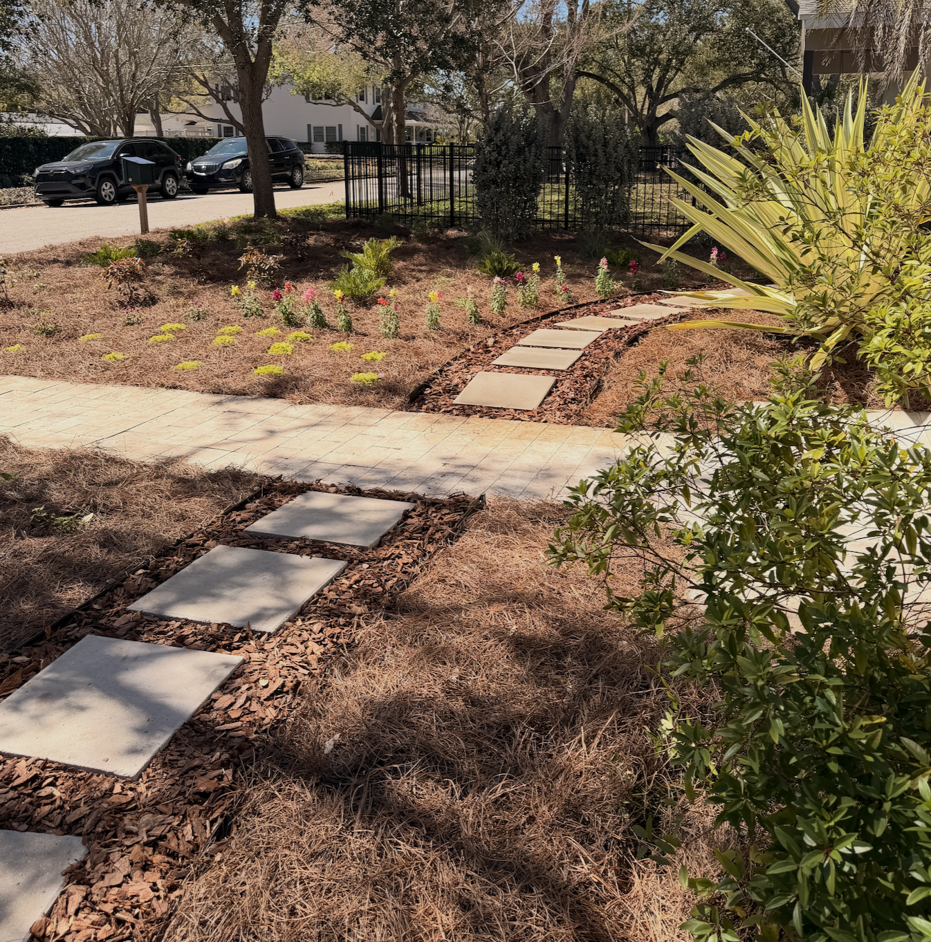 Front yard landscape transformation, curb appeal, seasonal flowers, florida native plants, pine straw, ground-cover, pathways