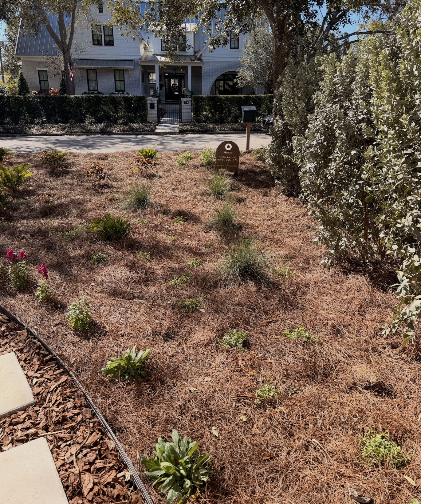 Front yard landscape transformation, curb appeal, seasonal flowers, florida native plants, pine straw, ground-cover
