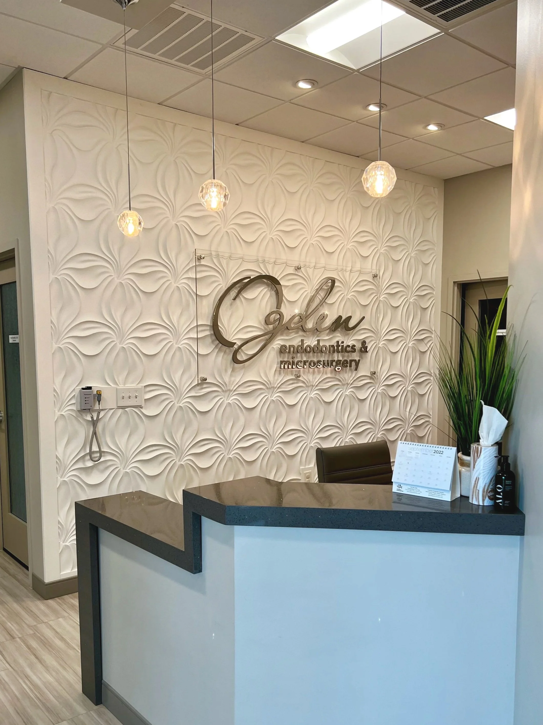 Ogden Endodontics