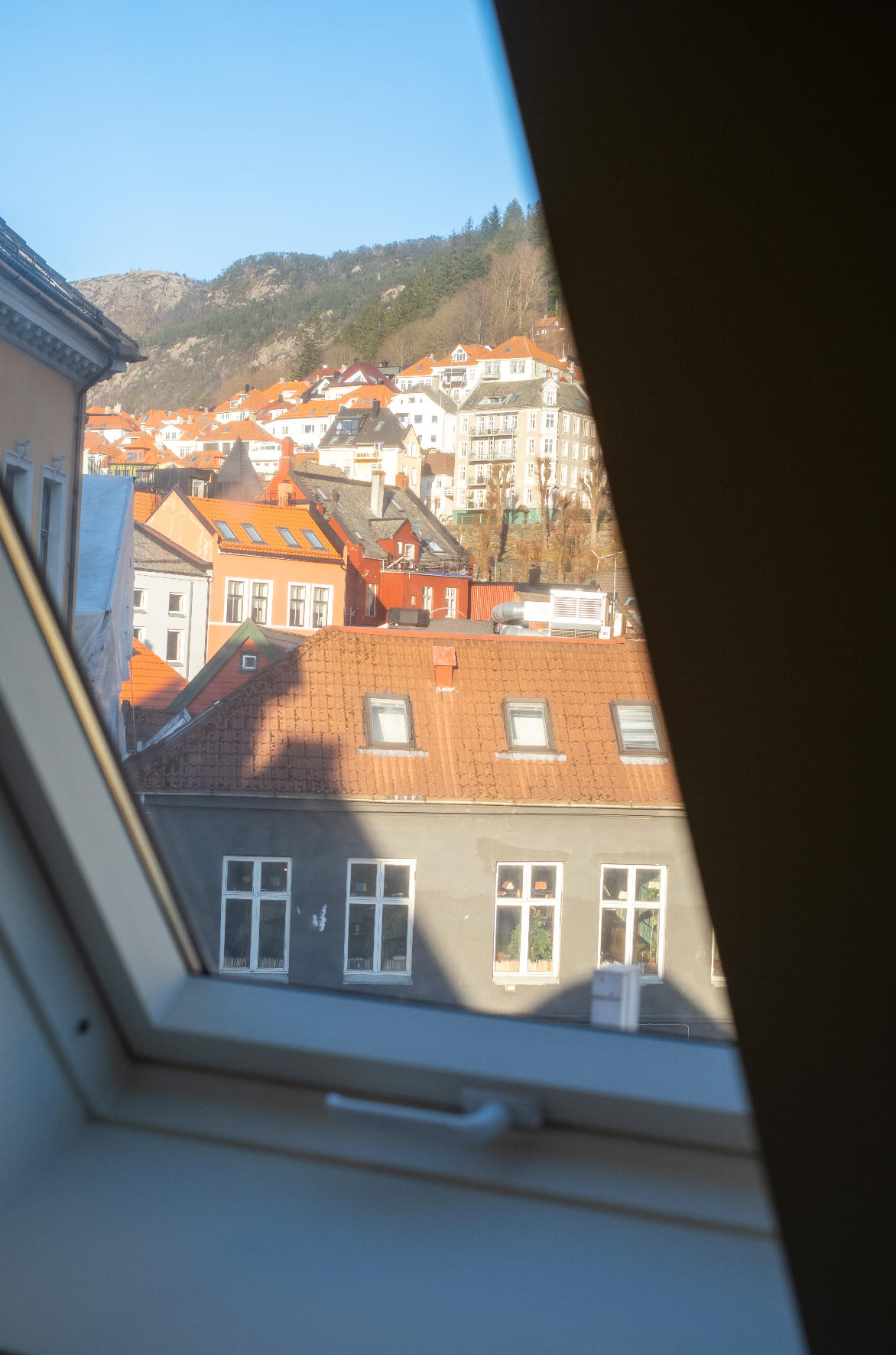 Screenshot 2026-02-09 at 12.53.27.png