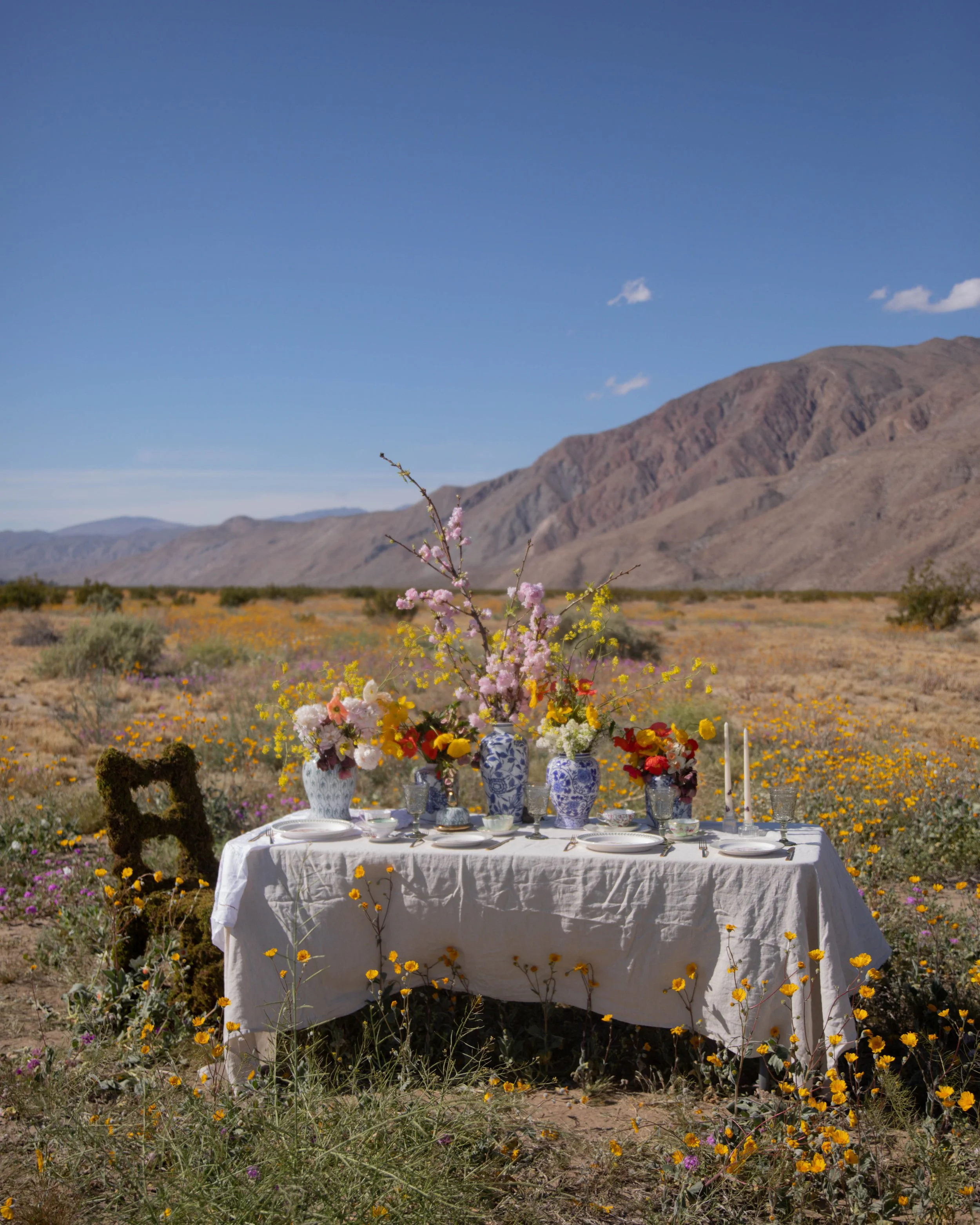 A table with white tablecloth and floral arrangements set up outdoors in a desert landscape with mountains in the background. The table has vases with pink, white, yellow, and red flowers and is surrounded by wildflowers.