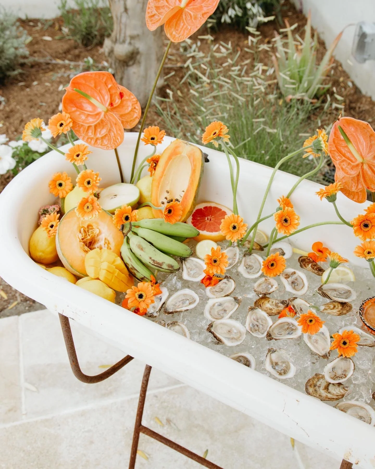 A white bathtub filled with ice and served with oysters, sliced citrus fruits, bananas, papaya, and decorative orange flowers around the edges, set outdoors.